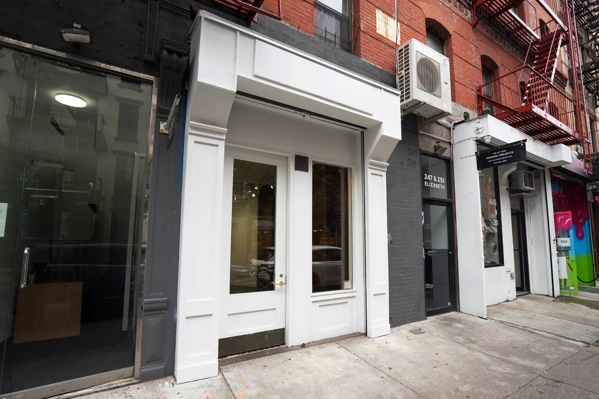 247 Elizabeth Street