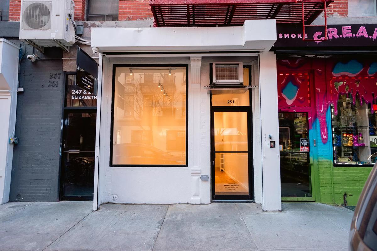 251 Elizabeth Street
