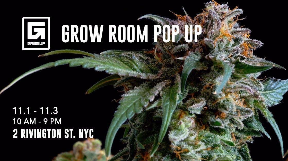 Game Up pop up
