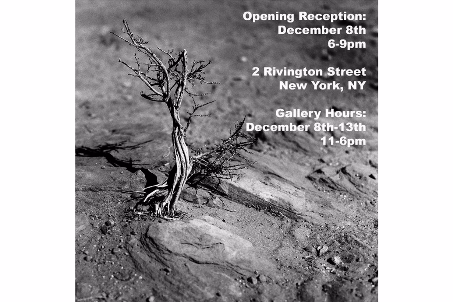 Jeremy Brenner Photography pop up