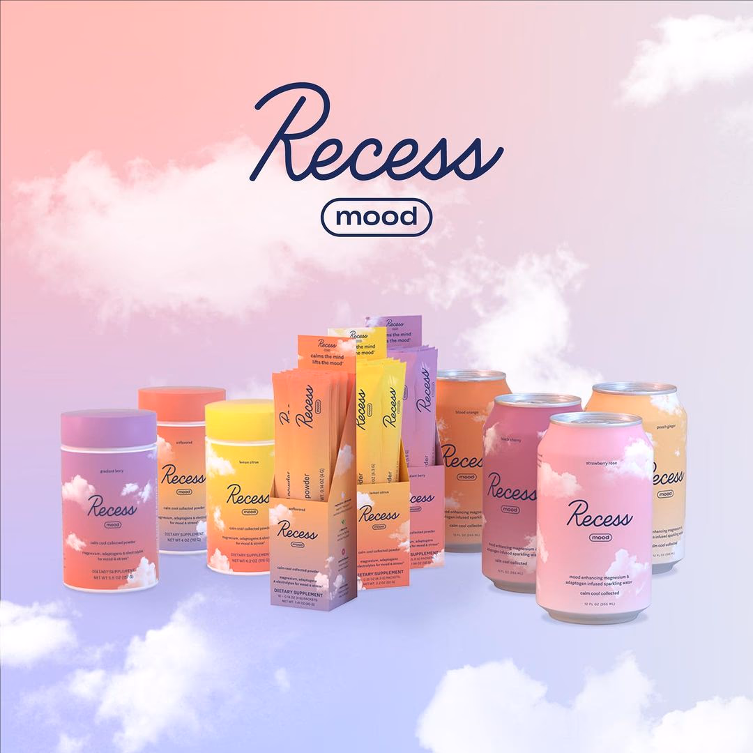 RECESS: THE RE-ENTERING SOCIETY pop up